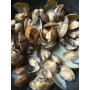 VONGOLE VERACI CON GUSCIO GR.500 GELO