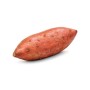 PATATE AMERICANE ROSSE DOLCI FRESCH.