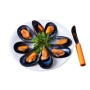 COZZE GUSCIO 40/60