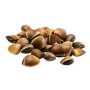 VONGOLE GUSCIO BROWN 40/60 KG. 1