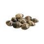 VONGOLE VERACI CON GUSCIO GR.300 GELO