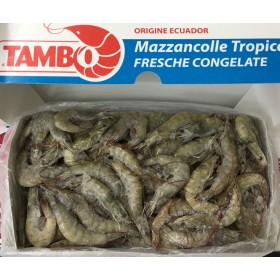 MAZZ.INTERA EC 31/40 KG.2 PP GELO