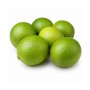 LIME FRESCO A PESO