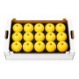 MELE GOLDEN PADELLE FRESCHE --