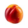 PESCHE NOCI FRESCHE +