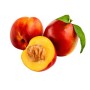 PESCHE NOCI FRESCHE +