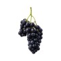 UVA NERA FRESCA