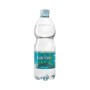 ACQUA 'S.ANTONIO' NATURALE PET 0.5 LT