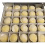 MEDAGLIONI DI PATATE & BURRATA KG.1,5