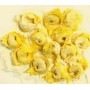 TORTELLONI FRESCHI ZOLA E NOCI ATM KG.1