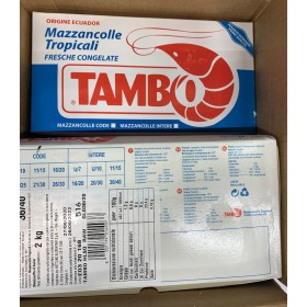 MAZZ.CODE EC 41/50 0% LEOFISH