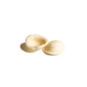 ORECCHIETTE KG. 1 GELO