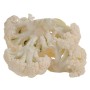 CAVOLFIORI KG.2,5 GELO