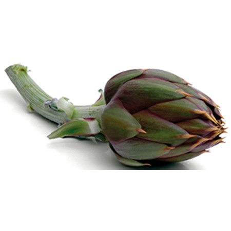 CARCIOFI SPINOSI 400 GR FRESCHI
