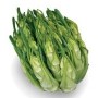 CATALOGNA CIMATA SFUSA (PUNTARELLE) FR.