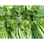 CIMA DI RAPA SFUSA FRESCA