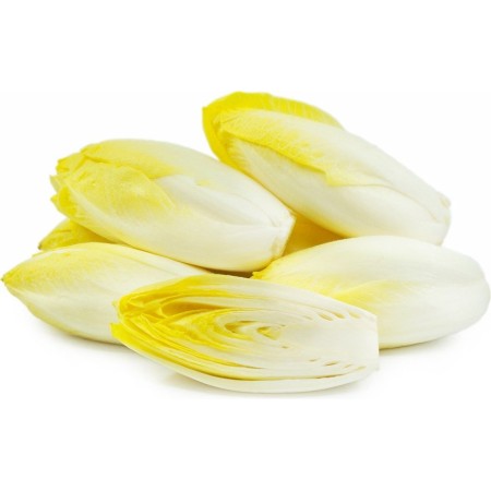 INSALATA BELGA 500 GR (INDIVIA) FRESCA