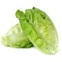 INSALATA ROMANA FRESCA