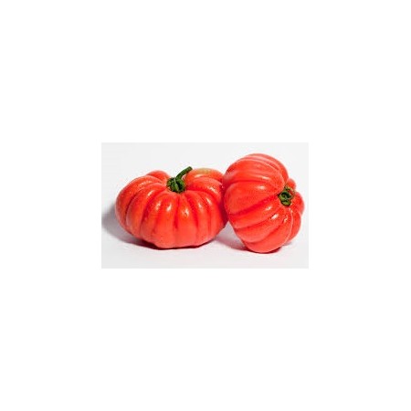 POMODORO CUORE DI BUEFRESCO