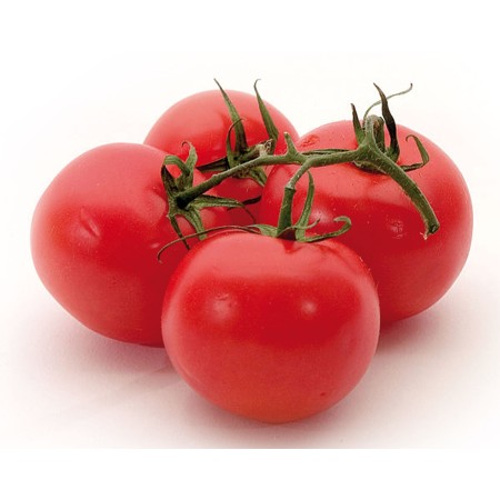 POMODORO RAMATO FRESCO
