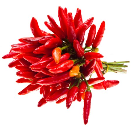 PEPERONCINI PICCANTI ROSSI MAZZO FRESCHI