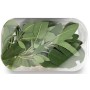 SALVIA VASSOIO 30 GR FRESCA