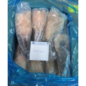 CODA RANA PESC   200/300