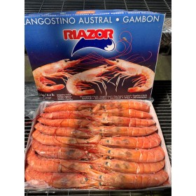 GAMB.L1(10/20) BORDO ARG.0% 2025 RIAZOR