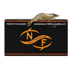 MAZZ. INTERA  ECUADOR 20/30 KG.2 P.P.