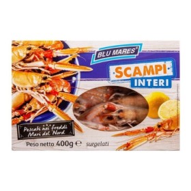 SCAMPI INT.PORCUPINE BORDO 16/20 IRL 0%