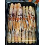SCAMPI BORDO INSHORE IRLANDA 10/15 GELO