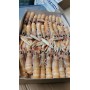 SCAMPI BORDO INSHORE IRLANDA 16/20 GELO