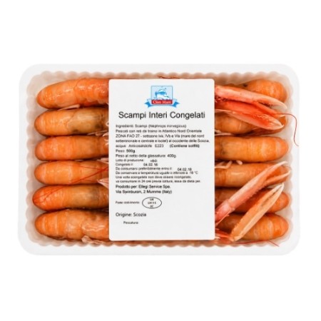 SCAMPI INT. SCOZIA 21/30 GR.750 GELO
