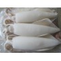CALAMARI PULITI PACIFICO U5 BLOC KG.1.4