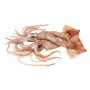CALAMARI SPORCO PATAG. C4 WOFCO KG.5