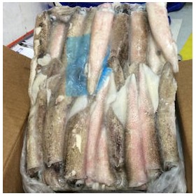 CALAMARI SP.PATAG. C4L 5 KG RIAZOR