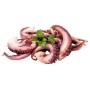 TOTANO TENTACOLI CRUDI INTERI GR.800