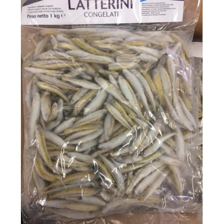 LATTERINI IQF 100/200-kg 0%