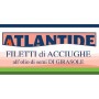 FILETTI DI ACCIUGHE ATLANTIDE GR.620