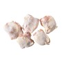 SOVRACCOSCIA POLLO S/OSSO GR.180 GELO