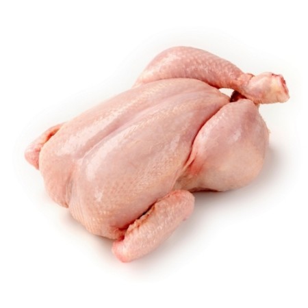 GALLETTI VALLESPLUGA GELO --