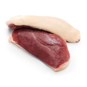 PETTO D'ANATRA GELO
