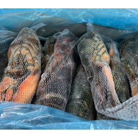 ASTICI CANADA RETE 400/450 CRUDI GELO