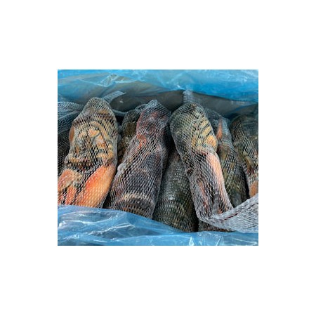 ASTICI CANADA RETE 400/450 CRUDI GELO