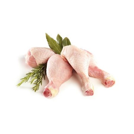 COSCE POLLO FILM IT