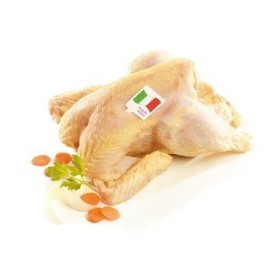 GALLINA IT