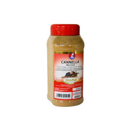 CANNELLA POLVERE SPARGIT.gr.300