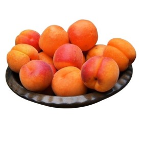 ALBICOCCHE FRESCHE