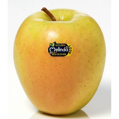 MELE GOLDEN  MELINDA FRESCHE