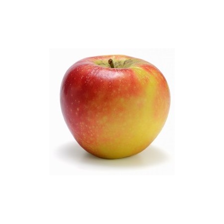 MELE KANZI FRESCHE